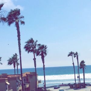 Meet your Posher, Lily